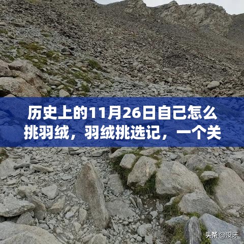 第2694页