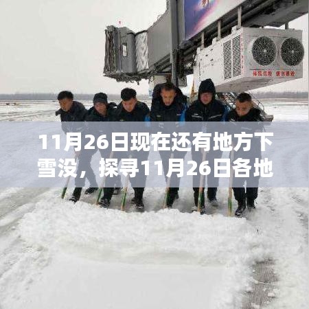 探寻各地雪情，11月26日雪落何处？下雪情况一览。