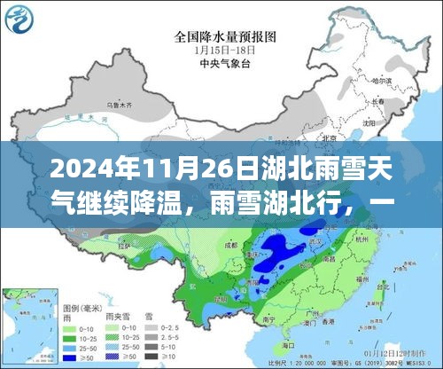 杳无音信 第5页
