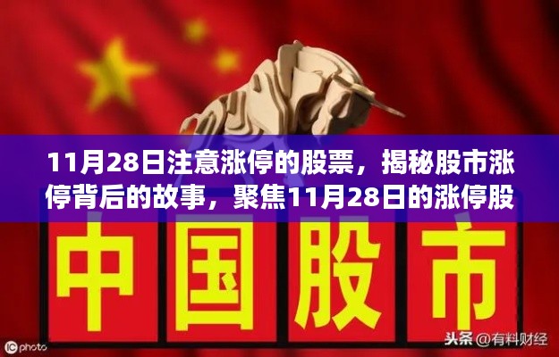 揭秘股市风云，聚焦11月28日涨停股风云背后的故事