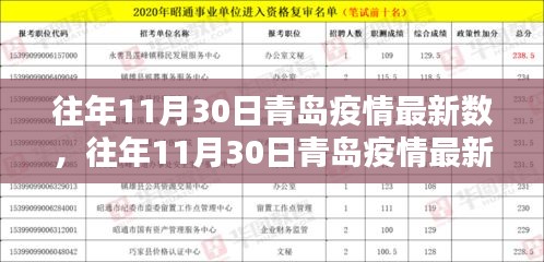 往年11月30日青岛疫情深度解析，数据、特性、体验与用户群体分析