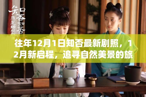 往年12月1日知否最新剧照，12月新启程，追寻自然美景的旅程，寻找内心的宁静与惊喜剧照瞬间