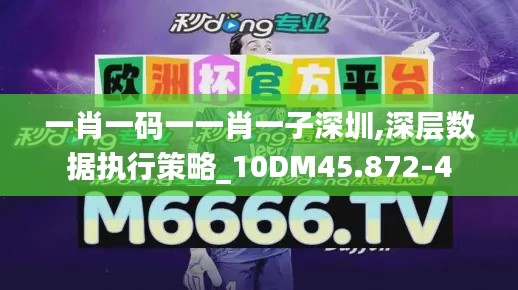 一肖一码一一肖一子深圳,深层数据执行策略_10DM45.872-4