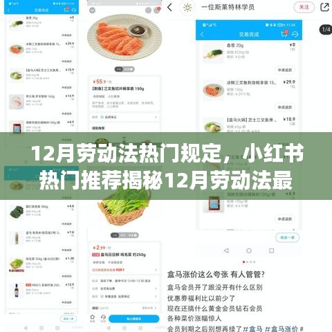 揭秘最新劳动法热门规定，职场权益守护宝典，小红书推荐指南！
