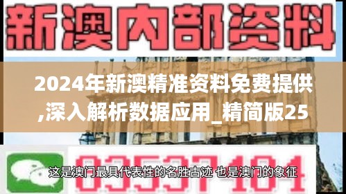 2024年新澳精准资料免费提供,深入解析数据应用_精简版25.252-3
