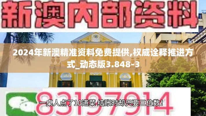 2024年新澳精准资料免费提供,权威诠释推进方式_动态版3.848-3
