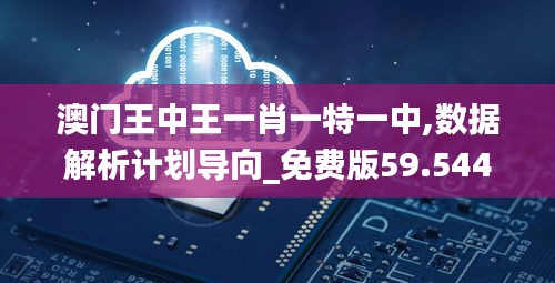 澳门王中王一肖一特一中,数据解析计划导向_免费版59.544-9