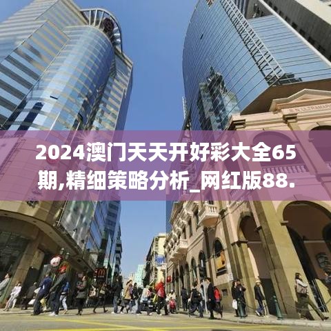 2024澳门天天开好彩大全65期,精细策略分析_网红版88.163-2