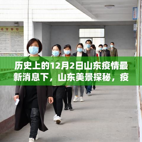 山东疫情下的自然之旅，探寻美景，寻找内心的宁静与阳光（最新消息）