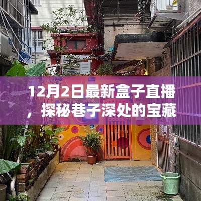 探秘巷子深处的宝藏，领略小巷特色小店的独特魅力——最新盒子直播开启！