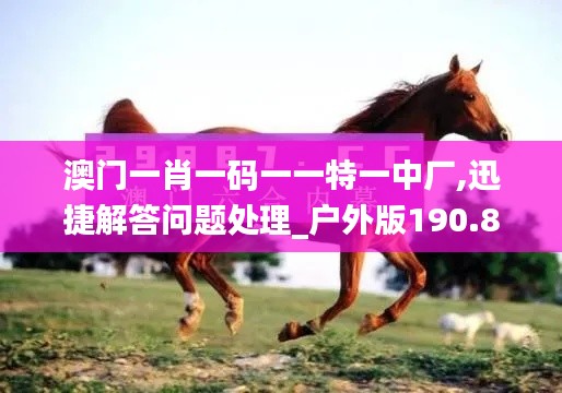 澳门一肖一码一一特一中厂,迅捷解答问题处理_户外版190.880-5