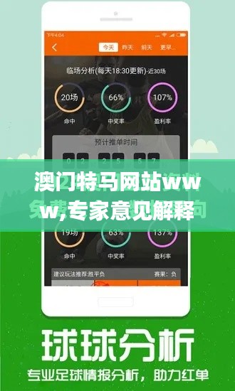 澳门特马网站www,专家意见解释定义_eShop30.148-7