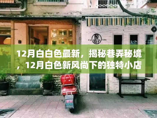 揭秘巷弄秘境，十二月白色新风尚下的独特小店之旅