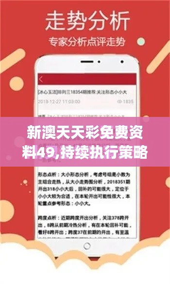 新澳天天彩免费资料49,持续执行策略_钻石版123.140