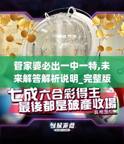 管家婆必出一中一特,未来解答解析说明_完整版91.132