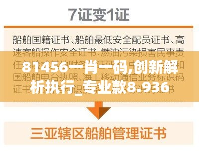 81456一肖一码,创新解析执行_专业款8.936