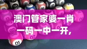 澳门管家婆一肖一码一中一开,适用策略设计_特别款8.731