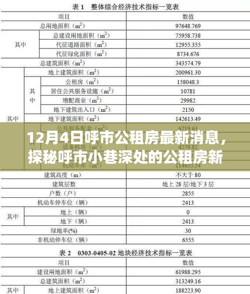 呼市公租房最新动态，探秘小巷深处的隐藏特色小店
