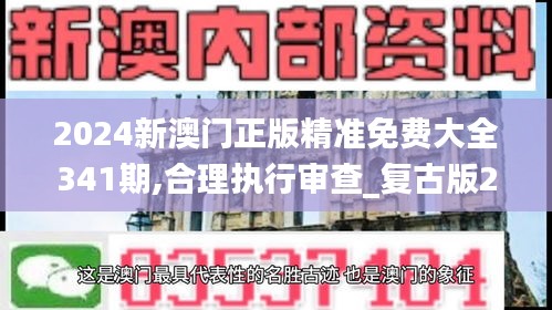 2024新澳门正版精准免费大全341期,合理执行审查_复古版2.366