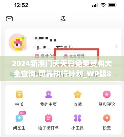 2024新澳门天天彩免费资料大全查询,可靠执行计划_WP版8.817