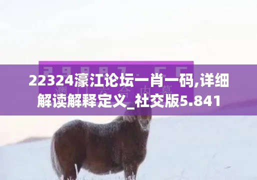 产品中心 第237页