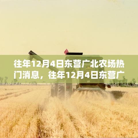 往年12月4日东营广北农场热门消息深度解析，特性、体验、竞品对比及用户洞察全揭秘