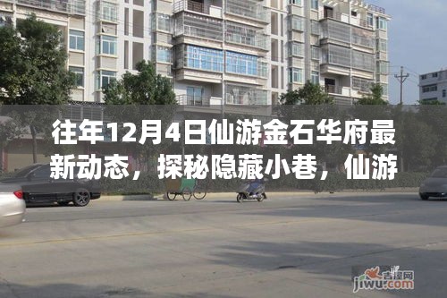 往年12月揭秘仙游金石华府最新动态，探秘隐藏小巷与深处独特小店