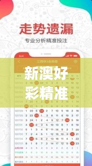 新澳好彩精准免费资料提供340期,快捷问题方案设计_运动版10.662