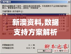 新澳资料,数据支持方案解析_Windows16.122