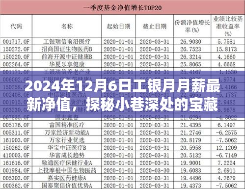 工银月月薪最新净值与探秘繁华中的特色小巷宝藏店