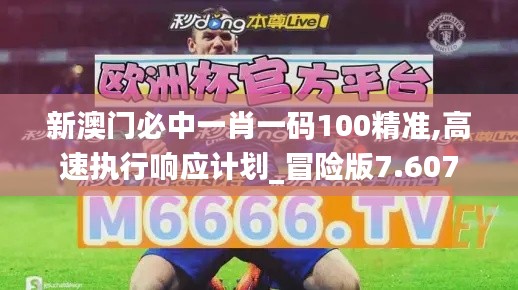 新澳门必中一肖一码100精准,高速执行响应计划_冒险版7.607