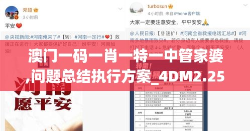澳门一码一肖一特一中管家婆,问题总结执行方案_4DM2.253