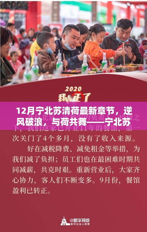 逆风破浪，与荷共舞，宁北苏清荷最新章节启示录