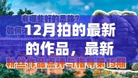 12月最新作品拍摄指南，创作你的视觉盛宴