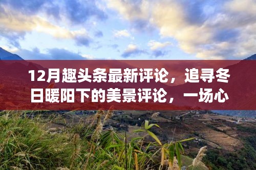 冬日暖阳下的美景评论与心灵旅行盛宴，趣头条最新评论盘点