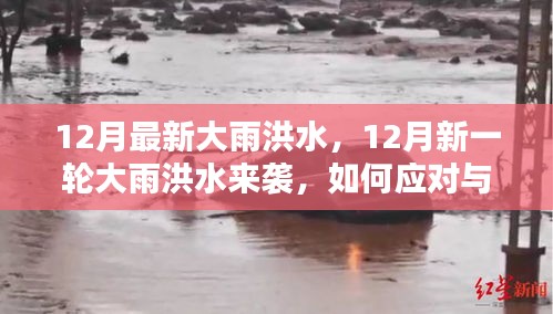 小红书