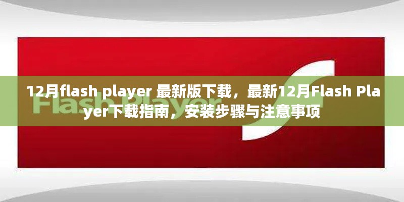 最新12月Flash Player下载指南，下载、安装步骤与注意事项