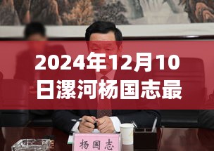 独家解析，杨国志品牌漯河产品在最新评测中的表现与洞察——2024年12月10日最新消息
