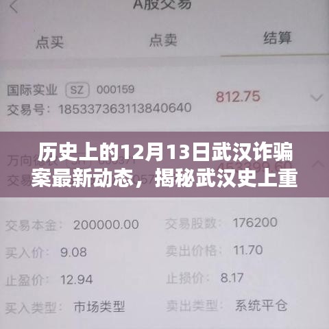 揭秘武汉史上重大诈骗案，最新动态与深远影响回顾分析