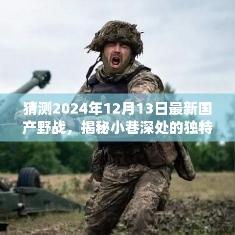 猜测2024年12月13日最新国产野战，揭秘小巷深处的独特风味，2024年最新国产野战特色小店探秘之旅
