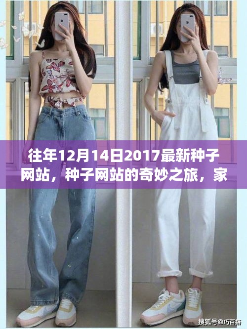 最新资讯回顾