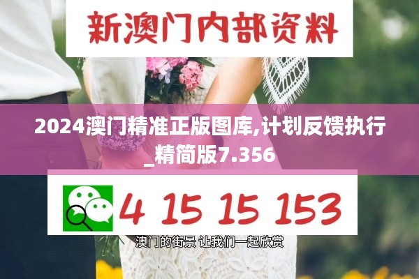 2024澳门精准正版图库,计划反馈执行_精简版7.356