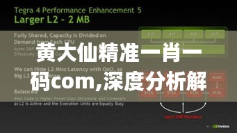 黄大仙精准一肖一码com,深度分析解释定义_复古款2.189