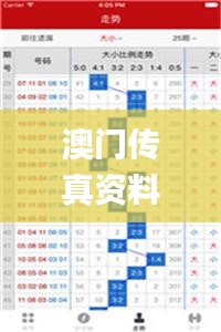 澳门传真资料查询,计划反馈执行_特供款2.925