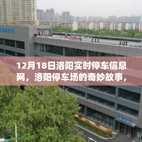 新闻中心 第186页