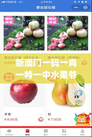 新澳门一码一肖一特一中水果爷爷,探索与揭秘_4DM110.716