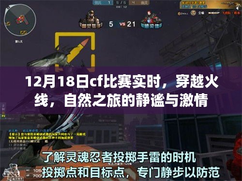 尊道贵德 第4页
