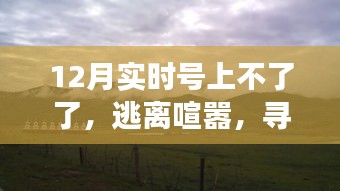 号上不了了引发奇妙旅行，寻找内心的宁静胜地