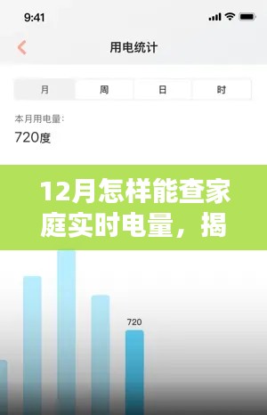 揭秘十二月家庭实时电量查询方法，洞悉电量消耗与时代意义影响