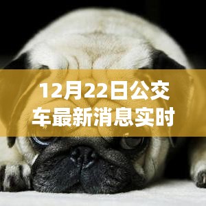 炙手可热 第3页